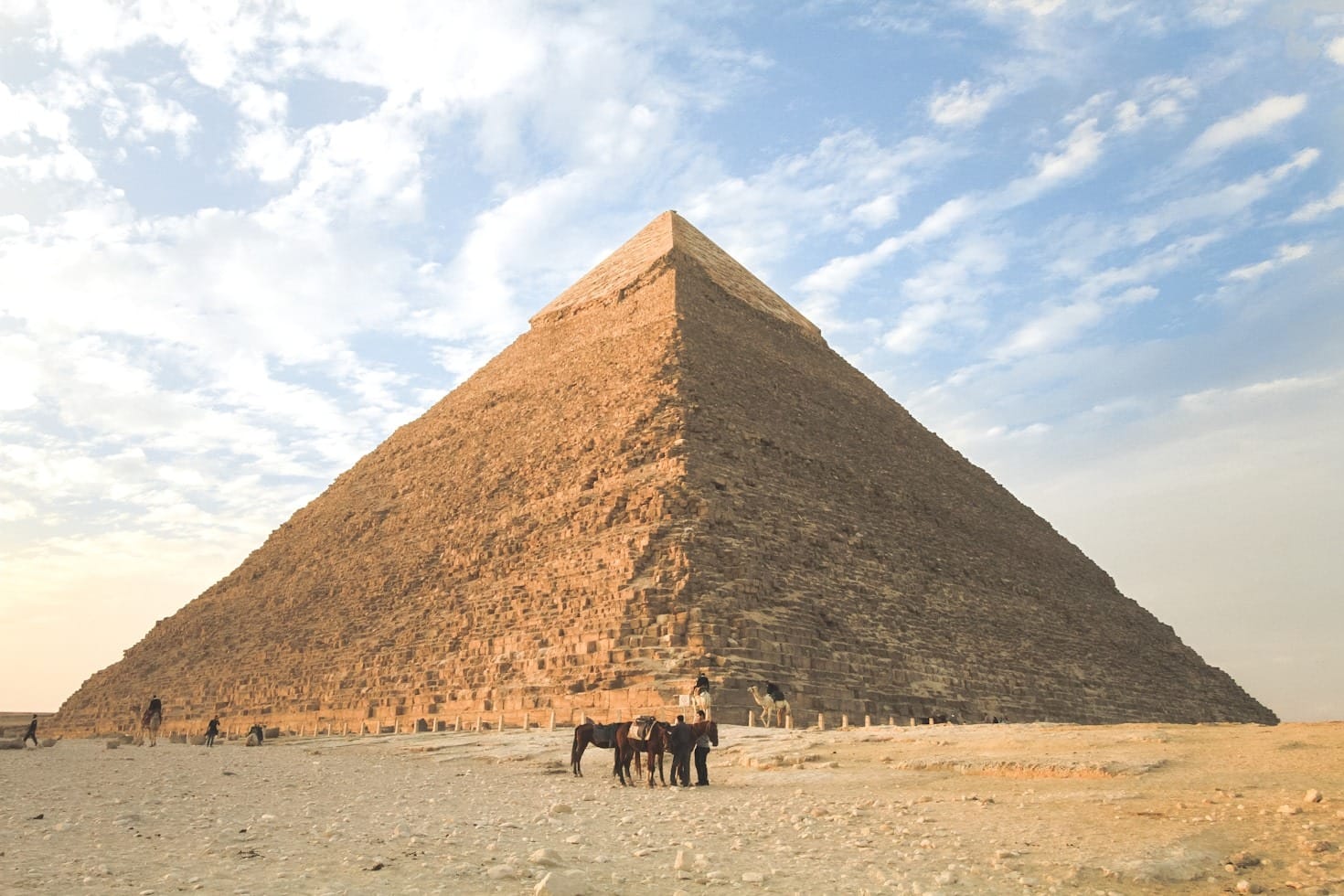 Bridge Clubs Across Egypt: A Community
